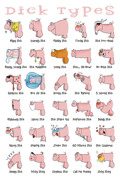 DICK TYPES