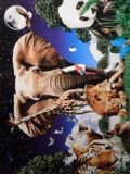 ZOO INT THE JUNGLE