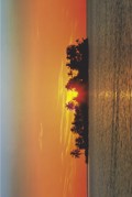 SUNNY ISLAND