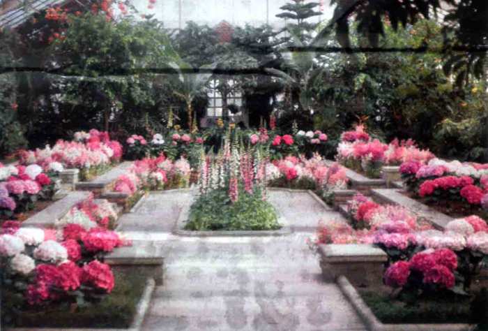 CONSERVATORY