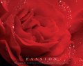 PASSION