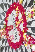 IMAGINE BEATLES
