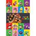 SUPER MARIO CHARACTERS POSTER