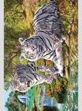 HIDDEN IMAGES - WHITE TIGER CLAN